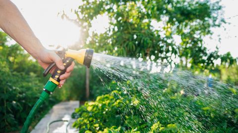 Tips for a Water-Wise Summer