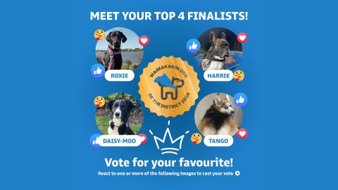 Voting is open for Dog of the District