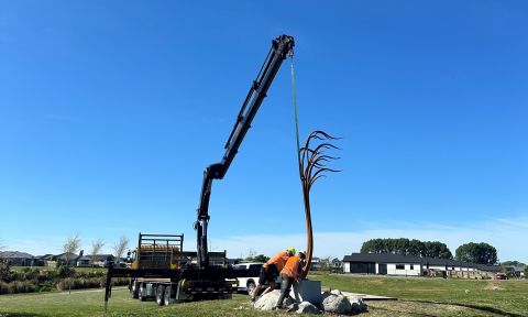 A 'Wind Swept Tree' in Silverstream